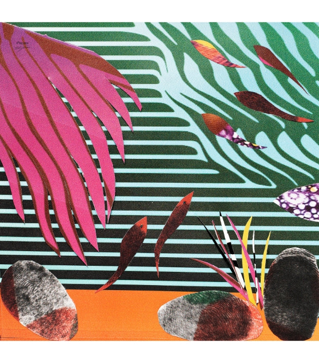 HANDKERCHIEF Fish